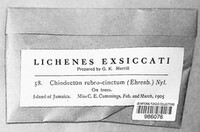 Image Associated With the Occurrence